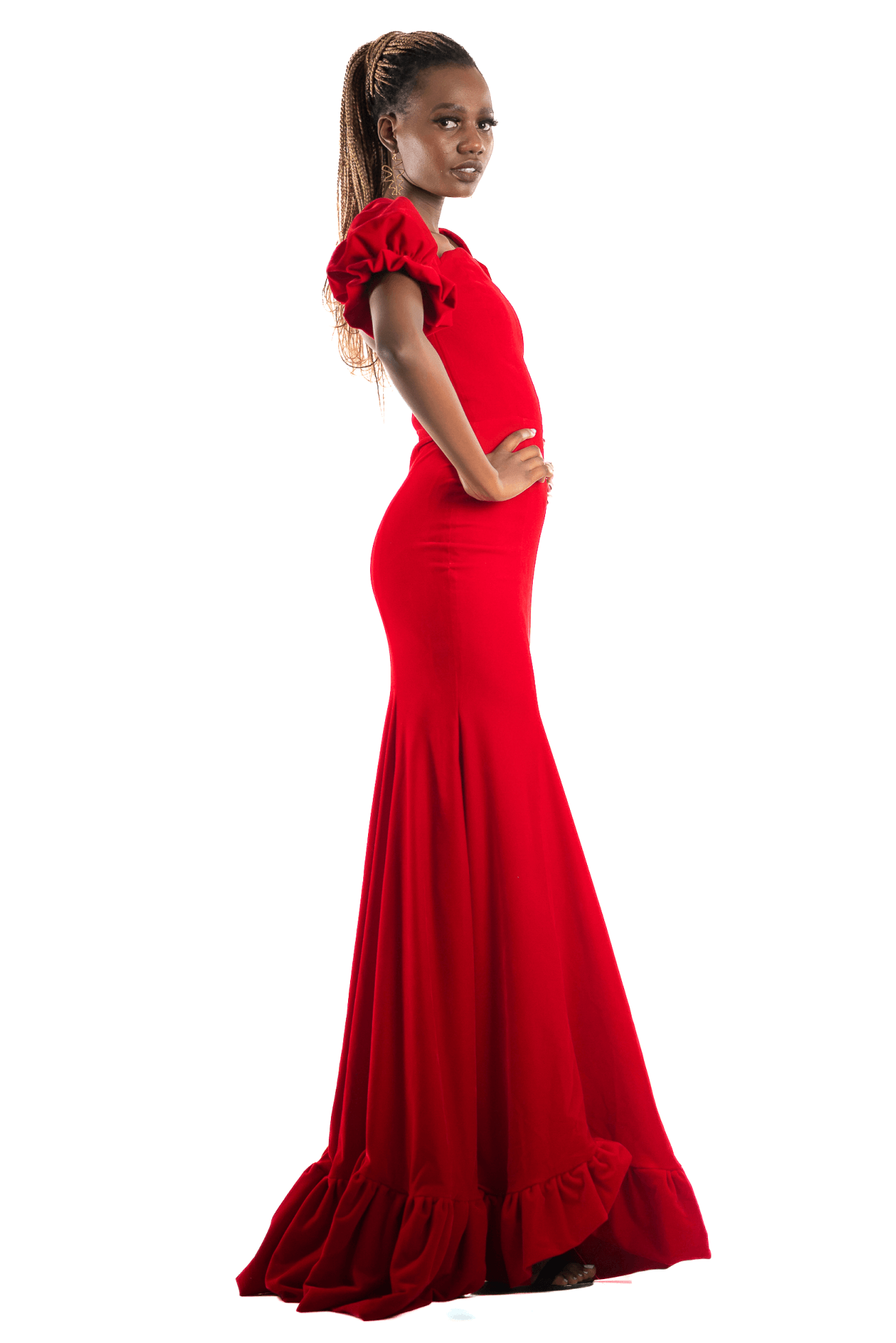 Velvet 2024 mermaid gown